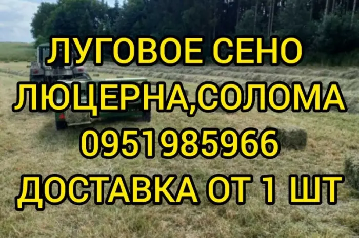 Сіно лугове, люцерна, солома. Доставка входить у вартість- фото № 1