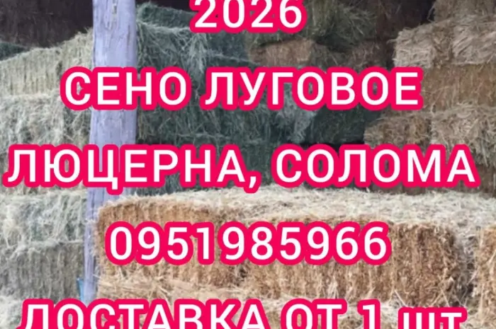 Продам ЛУГОВЕ сіно і ЛЮЦЕРНУ в тюках з доставкою по Україні- фото № 1