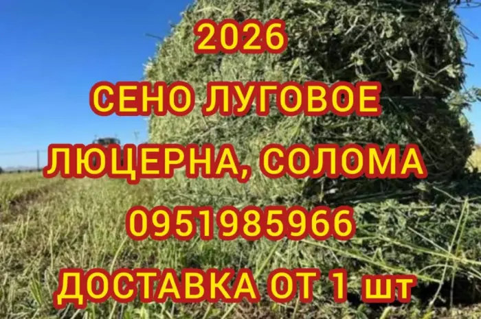Продам лугове сіно і люцерну в тюках. Привіз на дім входить у вартість- фото № 1