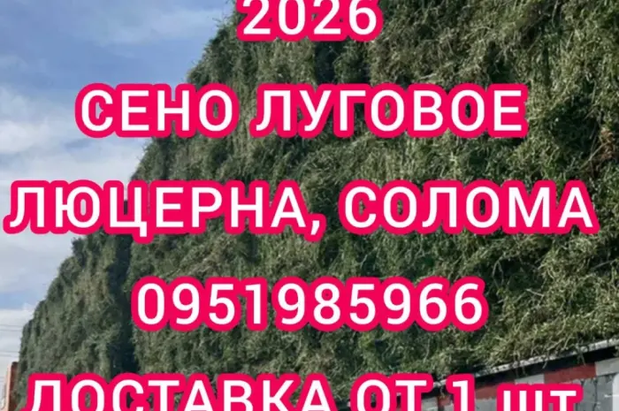 Продам сіно люцерни, лугове в тюках. Великий об'єм. Доставка безкоштовна- фото № 1