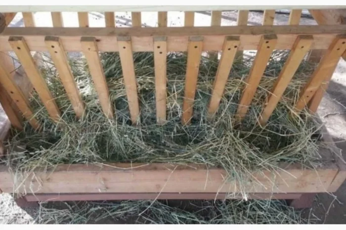 Поштучная и оптовая продажа сена соломы в тюках мешках с доставкой на дом- фото № 2