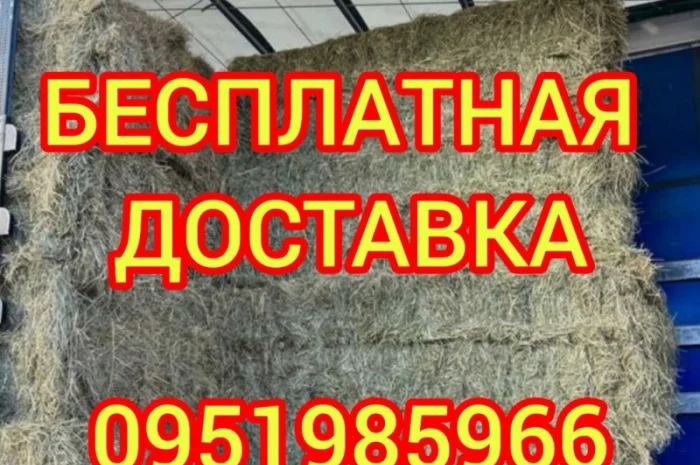 Поштучная и оптовая продажа сена соломы в тюках мешках с доставкой на дом- фото № 3
