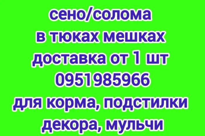 На подстилку собакам в будку сено солома в тюках мешках, доставка от 1 шт, сіно для корма- фото № 1