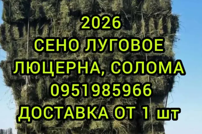 На подстилку собакам в будку сено солома в тюках мешках, доставка от 1 шт, сіно для корма- фото № 1