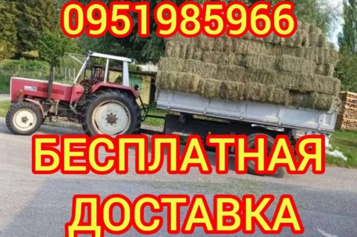 Продажа сена для лошадей, овец, коз, КРС с доставкой- фото № 1