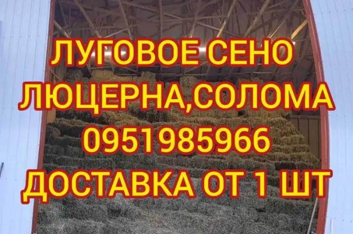 Продаж сіна для коней, овець, кіз, ВРХ з доставкою- фото № 1
