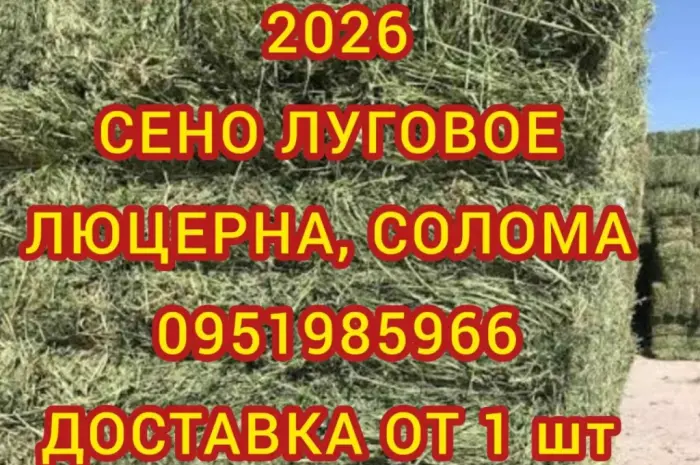 Оптова продажа лугового сена, люцерны с доставкой по Украине- фото № 1