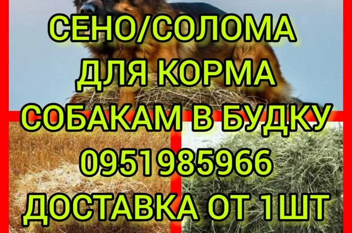 Сено солома в тюках мешках для корма, на подстилку, декора- фото № 1