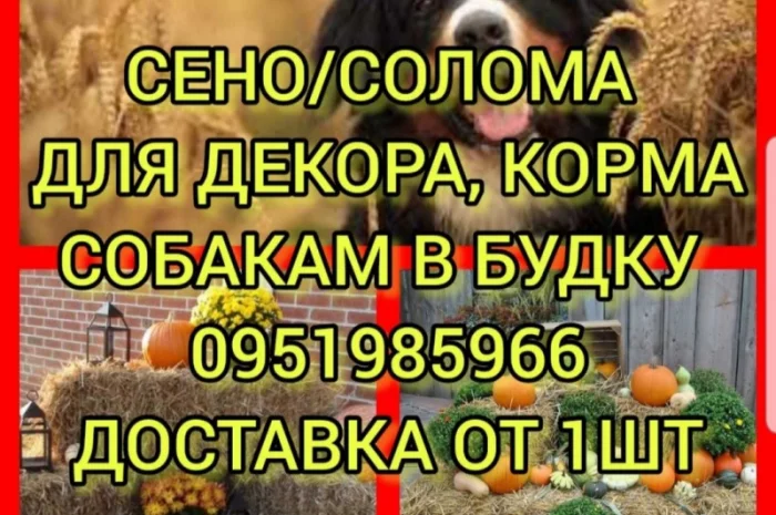 Сено в тюках мешках, солома в тюках мешках. Для корма, на подстилку- фото № 1