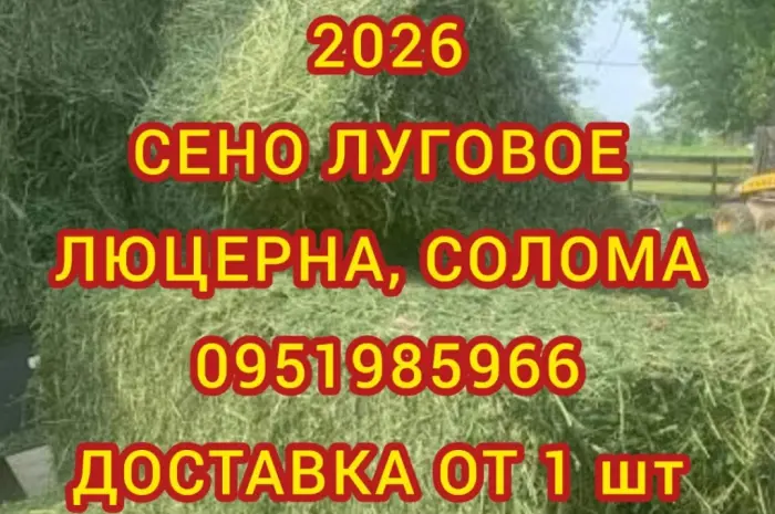 Сено в тюках мешках, солома в тюках мешках. Для корма, на подстилку- фото № 1