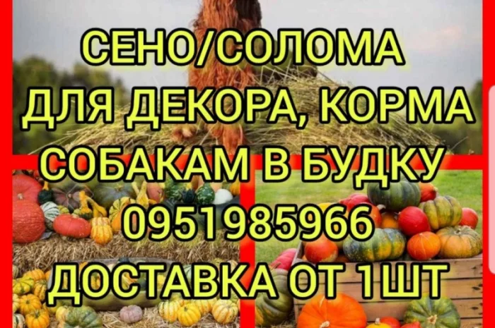 Бесплатная доставка по Украине. Луговое, люцерна, солома в тюках мешках- фото № 1
