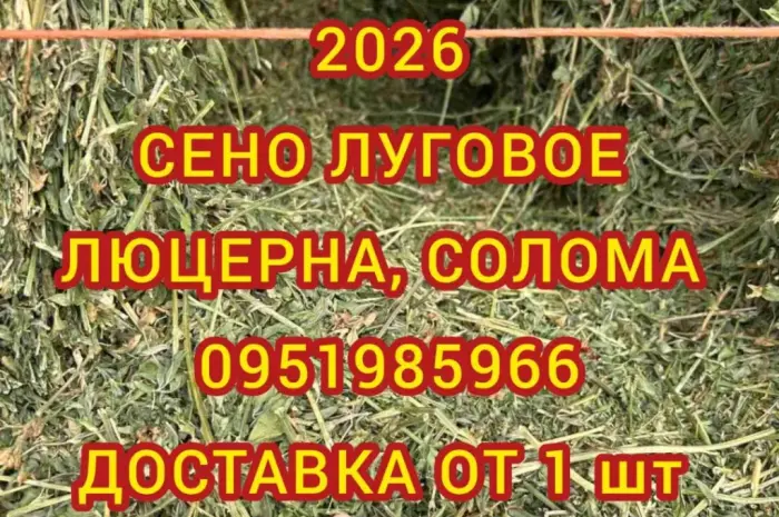 Безкоштовна доставка по Україні. Лугове, люцерна, солома в тюках мішках- фото № 1