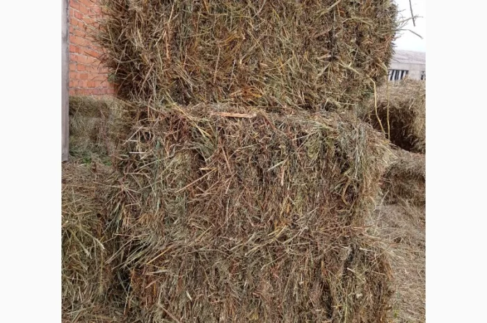 Продам тюковане сіно різнотрав'я- фото № 2