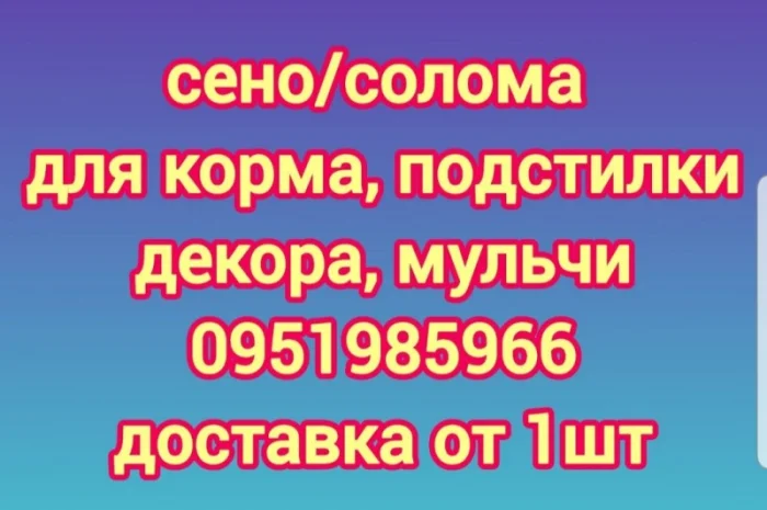 Бесплатная доставка СЕНА в тюках мешках, соломы пшеничной, ячневой- фото № 1