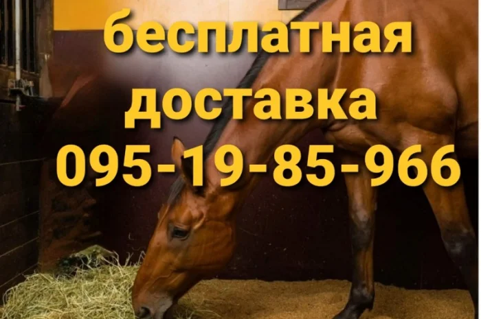 БЕСПЛАТНАЯ доставка сена лугового, люцерны, соломы в тюках- фото № 3