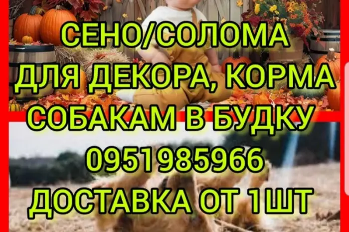 Собакам в вольер сено в тюках, солома в мешках. Доставка от одной штуки- фото № 1
