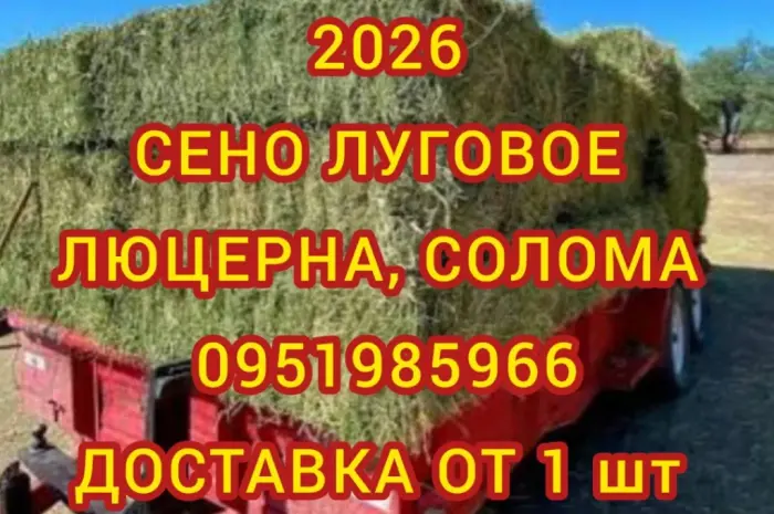Собакам в вольєр сіно в тюках, солома в мішках. Доставка від однієї штуки- фото № 1