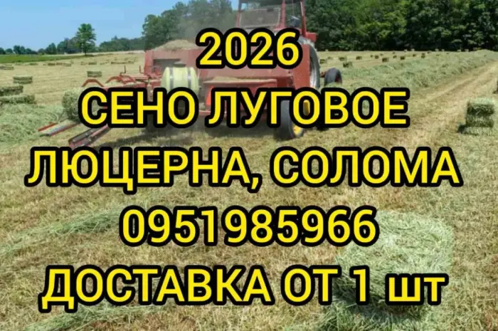 Сено лугове різнотрав'я, сіно люцерни з доставкою- фото № 1