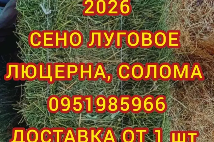 Продажа сена различных видов в тюках мешках- фото № 1