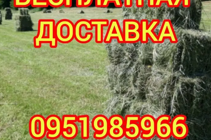 СЕНО в тюках. Великі обсяги. Лугове, люцерна, солома в тюках з безкоштовною доставкою- фото № 2