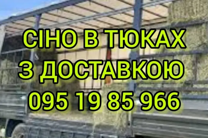 СЕНО в тюках. Великі обсяги. Лугове, люцерна, солома в тюках з безкоштовною доставкою- фото № 1