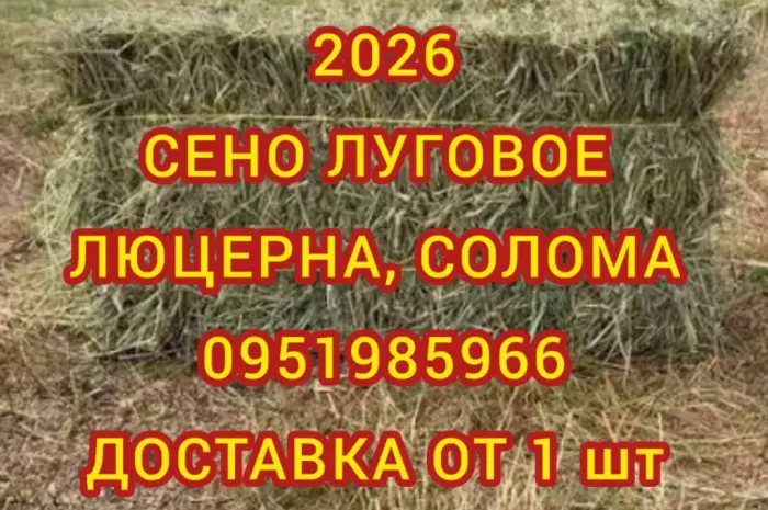 Сено, солома з безкоштовною доставкою по Україні. У тюках, мішках. Поштучно / опт- фото № 1