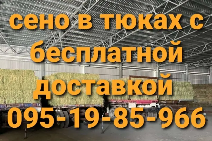 Есть в наличии! Большие объёмы. Сено люцерны, луговое, солома. Бесплатная доставка- фото № 1