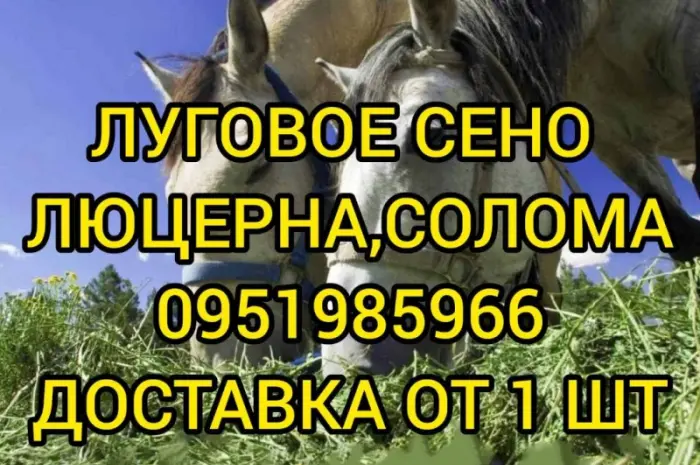 Есть в наличии! Большие объёмы. Сено люцерны, луговое, солома. Бесплатная доставка- фото № 1