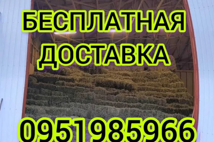 Сено люцерны в тюках. Бесплатная доставка по Украине. Объёмы- фото № 1