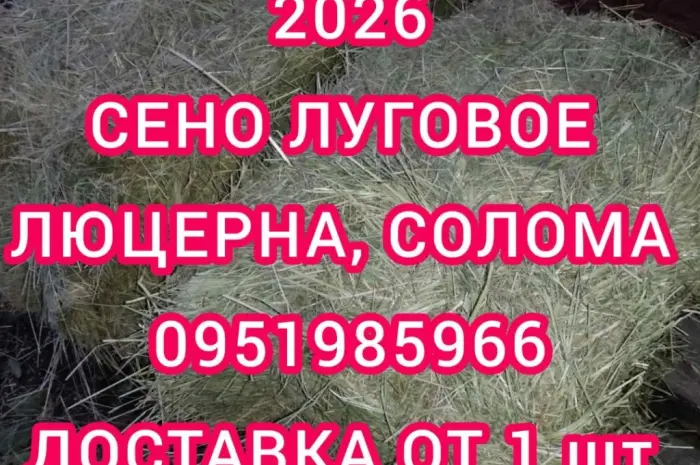 Сено люцерни в тюках. Безкоштовна доставка по Україні. Об'єми- фото № 1