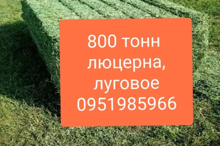 СЕНО для КРС, лошадей, овец. Доставка бесплатная по Украине. Есть б.н. расчёт- фото № 1