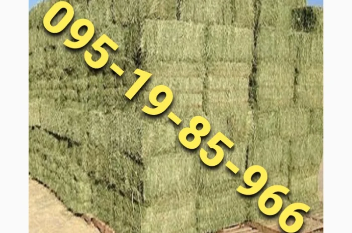 Сено в тюках с бесплатной доставкой по Украине. Большие объёмы- фото № 1