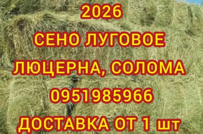 Сено в тюках з безкоштовною доставкою по Україні. Великі обсяги- фото № 1