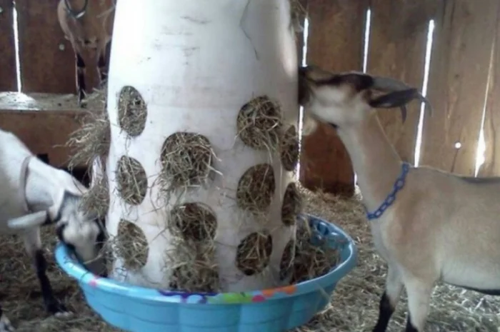 Люцерна в тюках, 800 тонн – бесплатная доставка по Украине- фото № 3