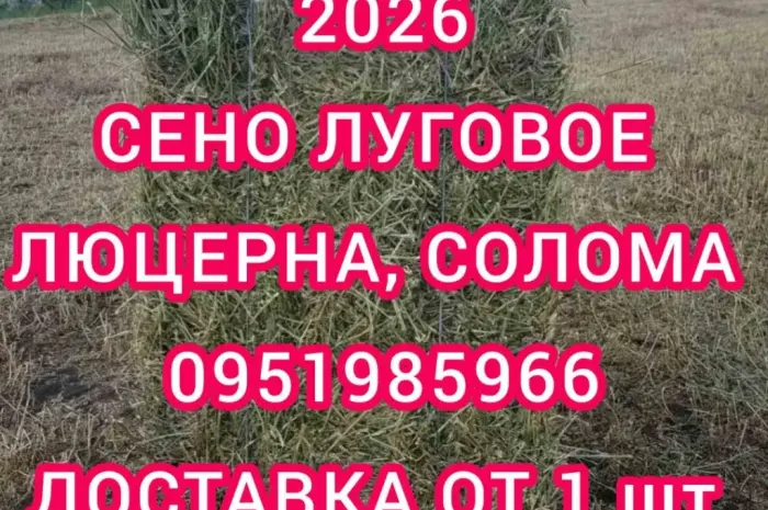Люцерна в тюках, 800т. Доставка по Україні безкоштовно- фото № 1