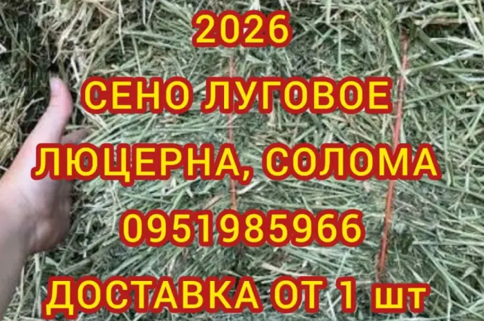 Сіно лугове, Сіно люцерни. Доставка. Обсяги. Якість- фото № 1