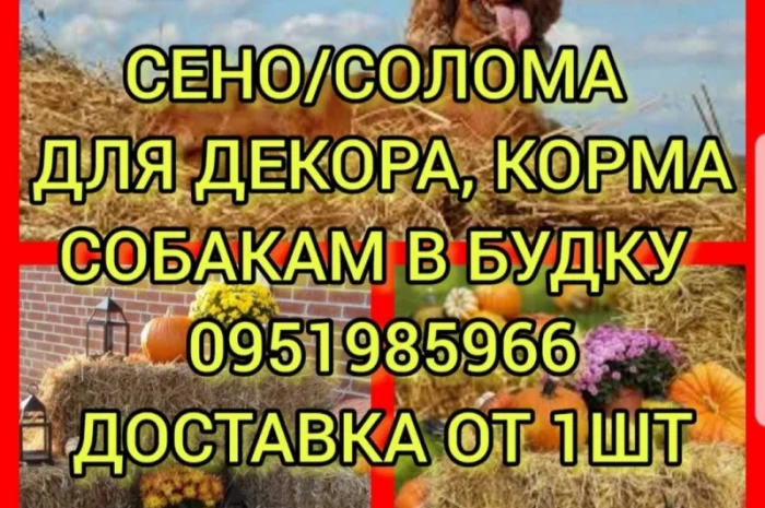 Продам сено: луговое, люцерну. Доставка. Есть возможность оплаты по б.н- фото № 1