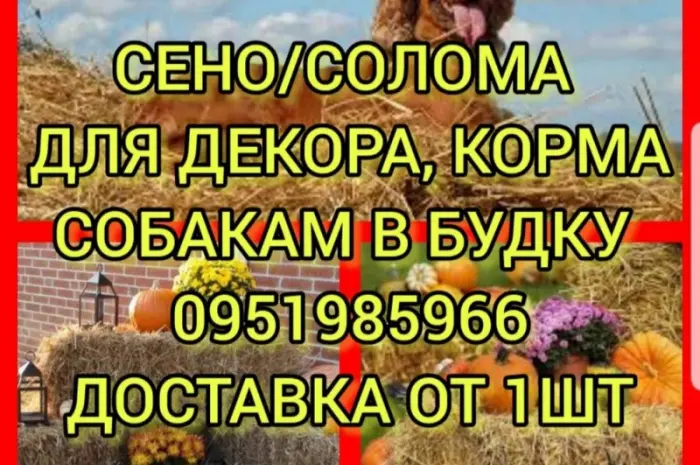 Продам сено: лугове, люцерну. Доставка. Є можливість оплати по б.н- фото № 1