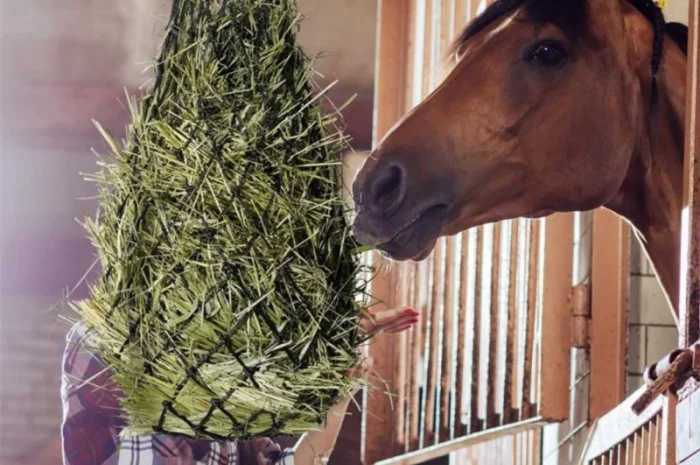 Продається лугове сено, люцерна в тюках з доставкою- фото № 2