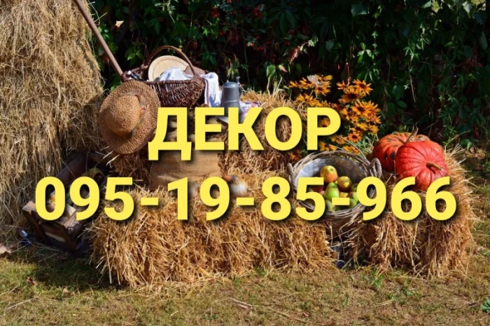 Сено солома сіно для декора в тюках мешках с доставкой- фото № 1