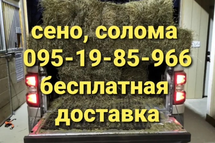Сено солома сіно для декора в тюках мешках с доставкой- фото № 2