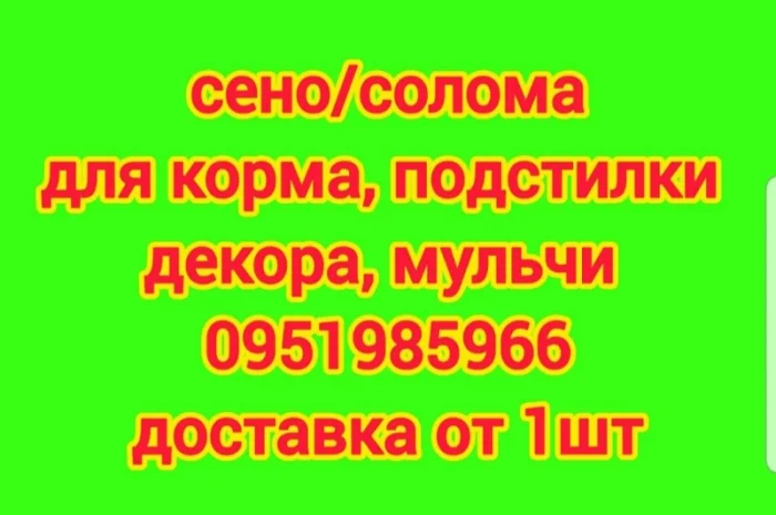 Люцерна, луговое сено в тюках. Бесплатная доставка- фото № 1