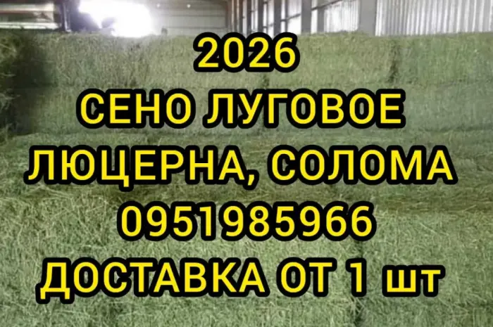 Люцерна, лугове сіно в тюках. Безкоштовна доставка- фото № 1
