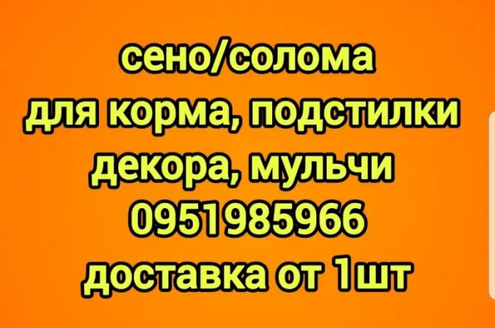 Сено для сільгосптварин з БЕЗКОШТОВНОЮ доставкою. Лугове, люцерна, солома- фото № 1