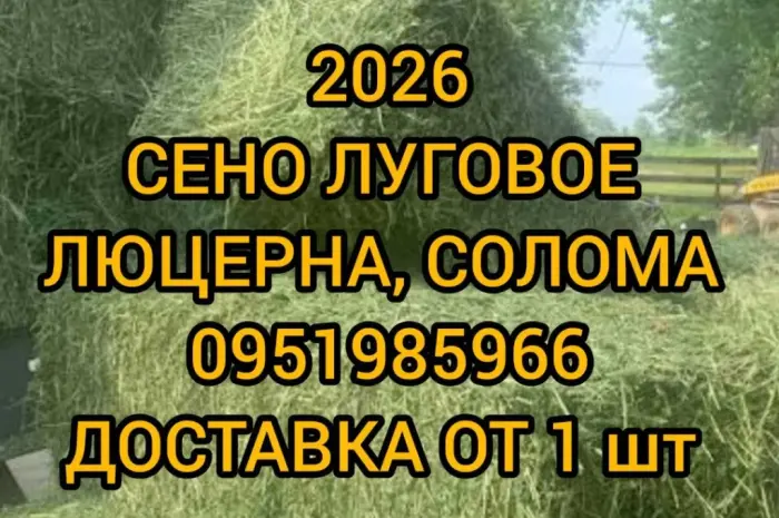 Сено для сільгосптварин з БЕЗКОШТОВНОЮ доставкою. Лугове, люцерна, солома- фото № 1
