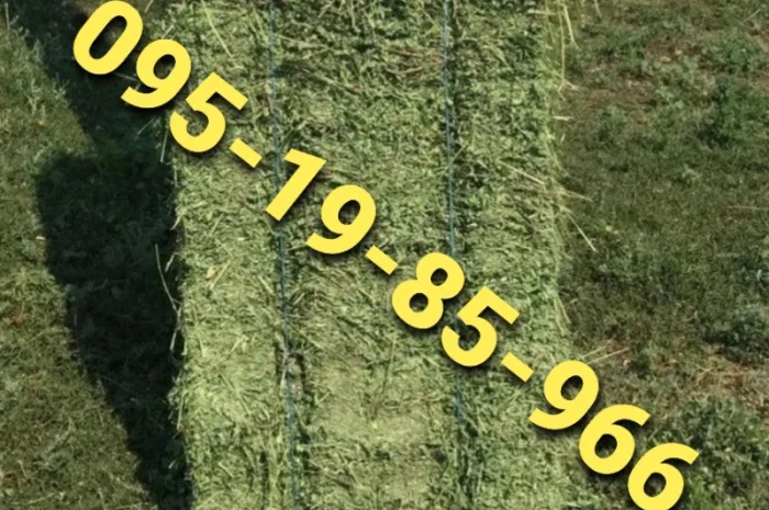 Продается сено для сельскохозяйственных животных. Высокое качество. Бесплатная доставка- фото № 1