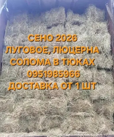 Продам Сено для сільськогосподарських тварин. Відмінна якість. Низькі ціни. Доставка безкоштовно- фото № 1