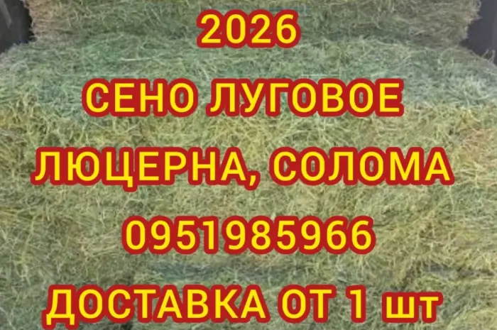 Безкоштовна доставка сіна в тюках мішках (лугове, люцерна, солома)- фото № 1