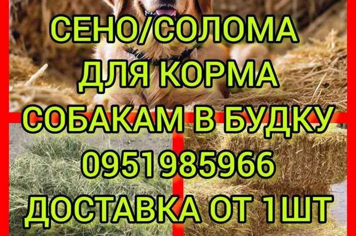 Безкоштовна доставка сіна в тюках мішках (лугове, люцерна, солома)- фото № 1