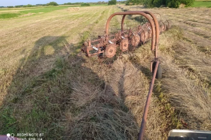 Сено в тюках луговое разнотравье.2022 года. Доставим- фото № 1
